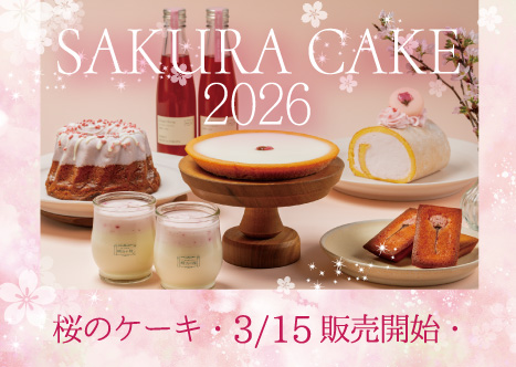 春の期間限定 桜のケーキ