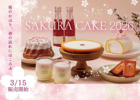 春の期間限定 桜のケーキ