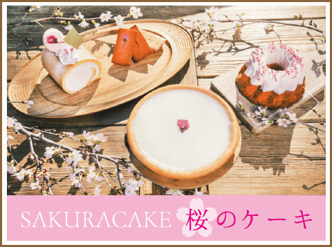 春の期間限定 桜のケーキ