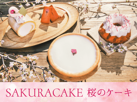 春の期間限定 桜のケーキ