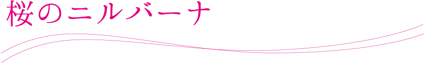 桜のニルバーナ